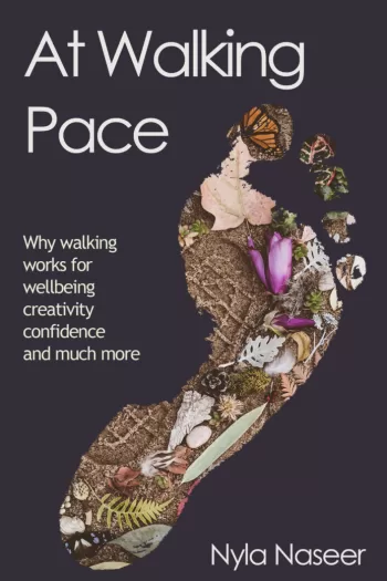 At Walking Pace. A simple guide to the wonder of walking
