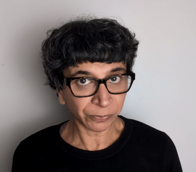 Nyla Naseer Background and Perspective